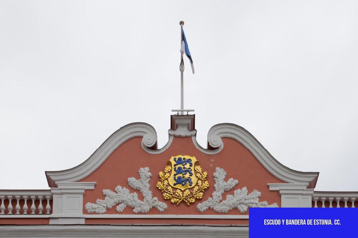 Estonia Identifica al GRU como Autor del Ciberataque de 2020